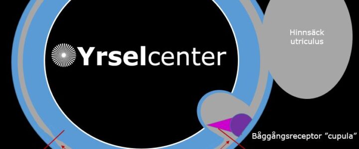 Kronisk kristallsjuka