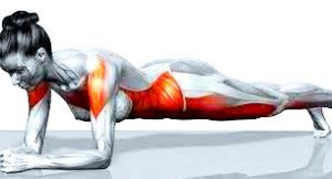 Core träning: Träning av upprätthållande muskelgrupper i lår- armar- buk och rygg