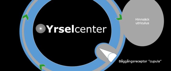 Kristallsjuka är oftast lättbehandlad